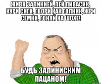 Живи залинией, пей пивасик, кури сиги, гвори как гопник, жри семки, гоняй на шохе! Будь залиниским пацаном!