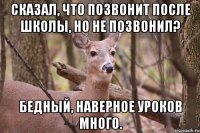 Сказал, что позвонит после школы, но не позвонил? Бедный, наверное уроков много.