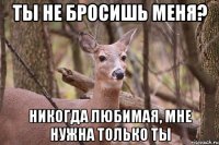 ты не бросишь меня? никогда любимая, мне нужна только ты