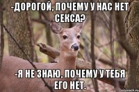 -Дорогой, почему у нас нет секса? -Я не знаю, почему у тебя его нет.