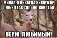 Милая, я никогда никого не любил так сильно, как тебя Верю, любимый!