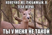 конечно же, любимый, я тебе верю, ты у меня не такой