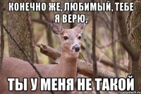 конечно же, любимый, тебе я верю, ты у меня не такой