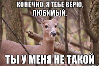 конечно, я тебе верю, любимый, ты у меня не такой