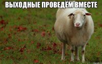 ВЫХОДНЫЕ ПРОВЕДЁМ ВМЕСТЕ 