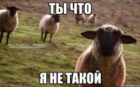 ТЫ ЧТО Я НЕ ТАКОЙ