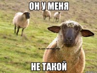 Он у меня не такой