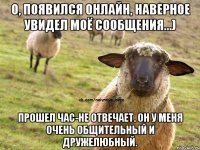 О, появился онлайн, наверное увидел моё сообщения...) Прошел час-не отвечает. Он у меня очень общительный и дружелюбный.