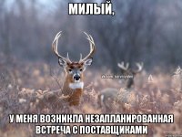 МИЛЫЙ, У меня возникла незапланированная встреча с поставщиками