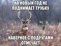 На Новый год не поднимает трубку Наверное с подругами отмечает