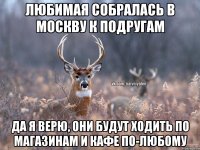 Любимая собралась в Москву к подругам Да я верю, они будут ходить по магазинам и кафе по-любому