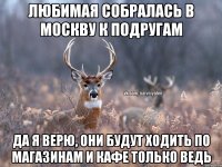 Любимая собралась в Москву к подругам Да я верю, они будут ходить по магазинам и кафе только ведь