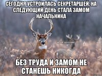 СЕГОДНЯ УСТРОИЛАСЬ СЕКРЕТАРШЕЙ, НА СЛЕДУЮЩИЙ ДЕНЬ СТАЛА ЗАМОМ НАЧАЛЬНИКА БЕЗ ТРУДА И ЗАМОМ НЕ СТАНЕШЬ НИКОГДА