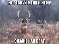 не ревнуй меня к нему он мне как брат