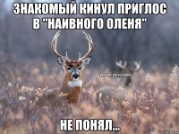 Знакомый кинул приглос в "Наивного оленя" Не понял...