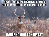 Друг прислал моей девушке смс с текстом "я тебя хочу прямо сейчас" наверно они так шутят