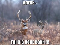 алень - тоже в поле воин !!!