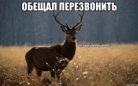 обещал перезвонить 