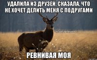 Удалила из друзей. Сказала, что не хочет делить меня с подругами Ревнивая моя