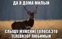 да я дома милый слышу мужские голоса,это телевизор любимый