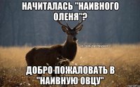 НАЧИТАЛАСЬ "НАИВНОГО ОЛЕНЯ"? ДОБРО ПОЖАЛОВАТЬ В "НАИВНУЮ ОВЦУ"