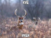 куц укцк