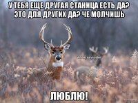 у тебя еще другая станица есть да? это для других да? че молчишь люблю!