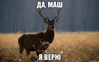 да, Маш я верю