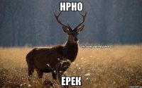 нрно ерек