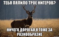 тебя пялило трое нигеров? ничего дорогая,я тоже за разнообразие