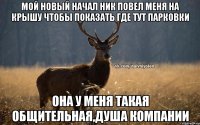 Мой новый начал ник повел меня на крышу чтобы показать где тут парковки Она у меня такая общительная,душа компании