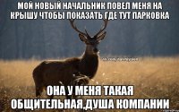 Мой новый начальник повел меня на крышу чтобы показать где тут парковка Она у меня такая общительная,душа компании