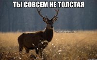 ты совсем не толстая 