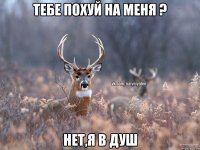 Тебе похуй на меня ? Нет,я в душ