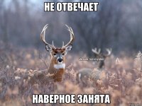 Не отвечает Наверное занята