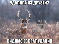 Удалила из друзей? Видимо ее брат удалил