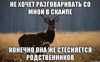 Не хочет разговаривать со мной в скайпе Конечно,она же стесняется родственников