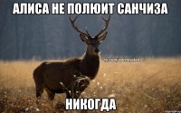 Алиса не полюит санчиза никогда