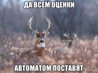 Да всем оценки Автоматом поставят