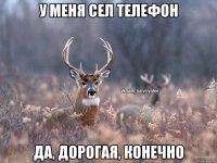 У меня сел телефон Да, дорогая, конечно