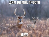 дим он мне просто ДРУГ