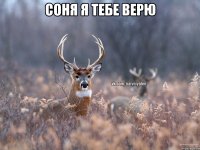 соня я тебе верю 