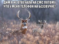 дим я не отвечала на смс потому что у меня телефон на беззвучке! 