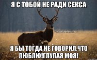 Я с тобой не ради секса Я бы тогда не говорил,что люблю!Глупая моя!