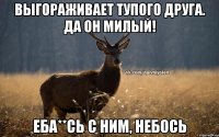 Выгораживает тупого друга. Да он милый! Еба**сь с ним, небось