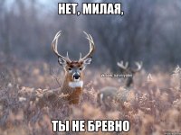 Нет, милая, ты не бревно