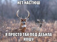 Нет Настюш Я просто так под дебила кошу