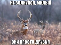 Не волнуйся, милый Они просто друзья