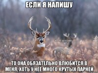 Если я напишу то она обязательно влюбится в меня, хоть у неё много крутых парней