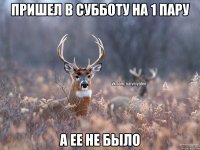 пришел в субботу на 1 пару а ее не было